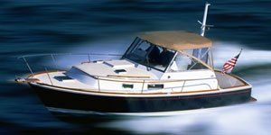 bluestar29.jpg